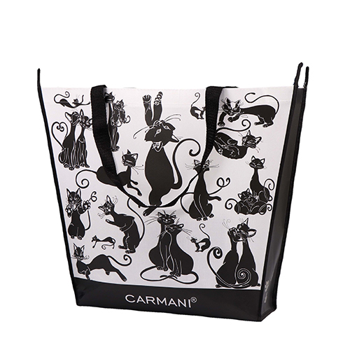 Recycled Non Woven Laminated Shopping Bag