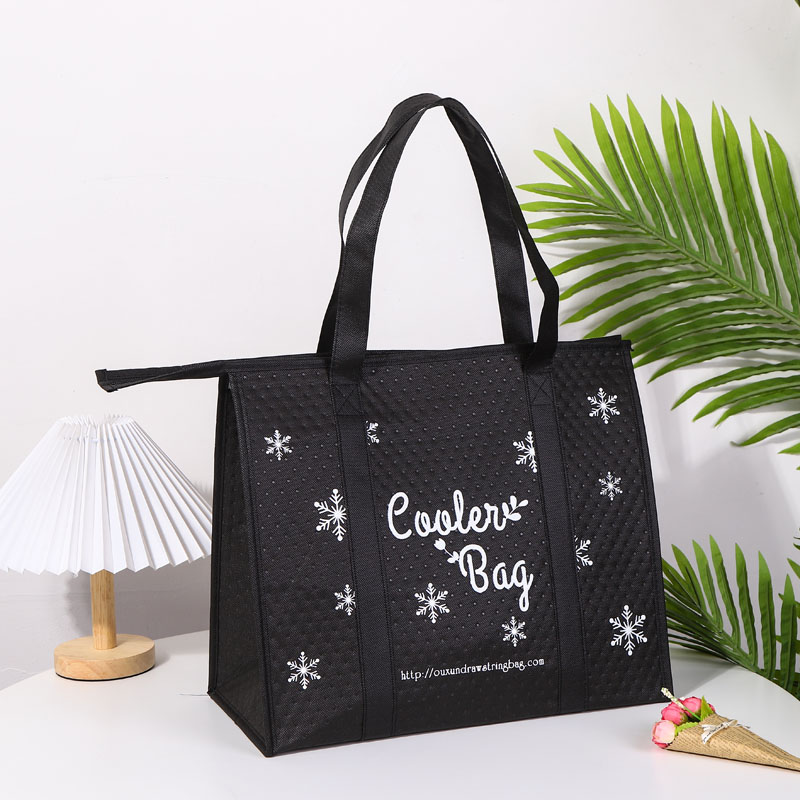 Picnic Non Woven Cooler Lunch Bag