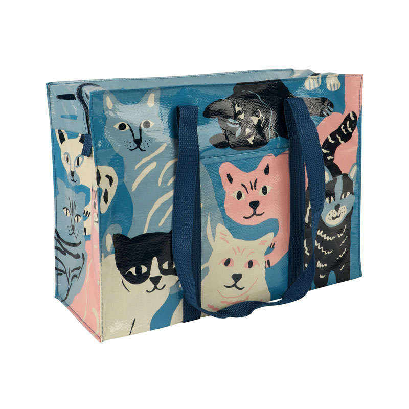 Laminated PP Woven Zipper Bag