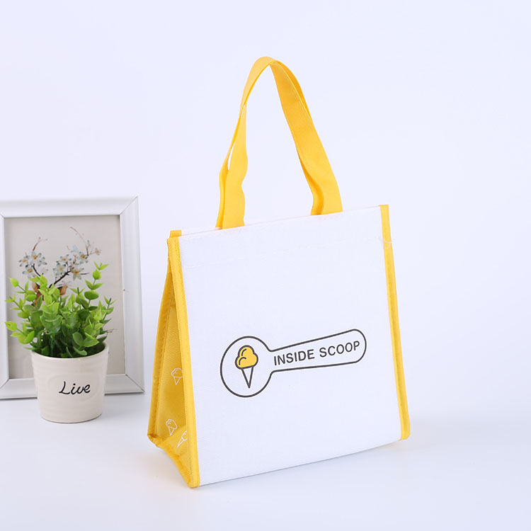 Non Woven Cooler Bag with Velcro