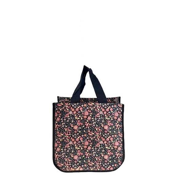 E-co Friendly Bag Style Non Woven Hanbag With Custom Printed