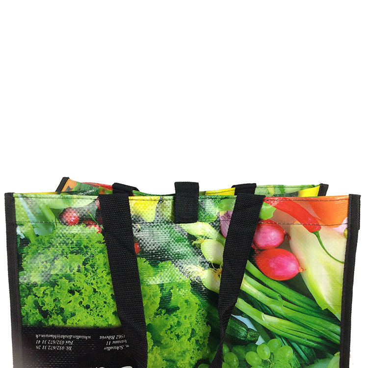 PP Woven Trolley Wheels Bag