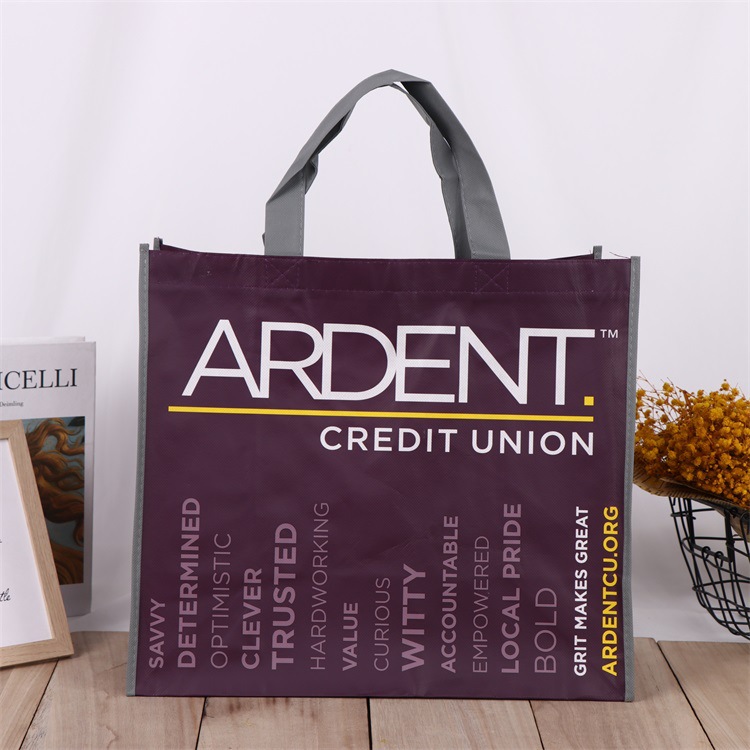 Reusable laminated Non Woven Bag