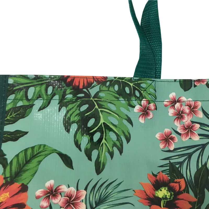 Hot-selling Recycled PP Laminated Woven Shopping Bags for Women, Durable Handbags