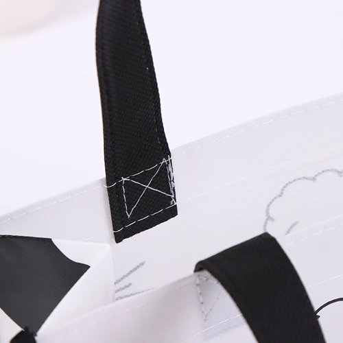 Reusable Non Woven Bag