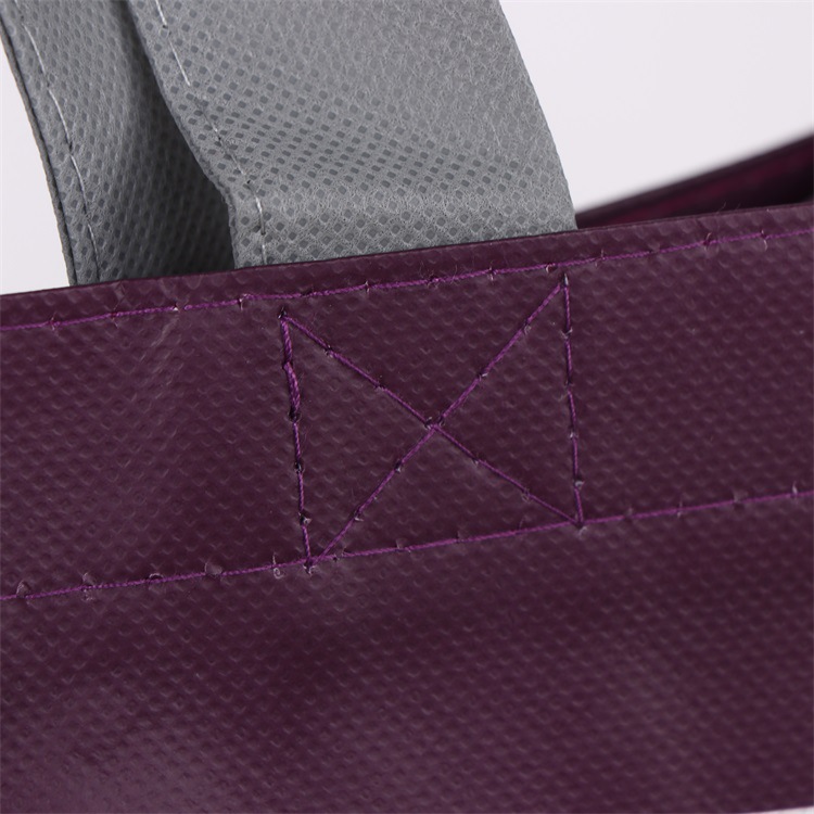 Reusable laminated Non Woven Bag