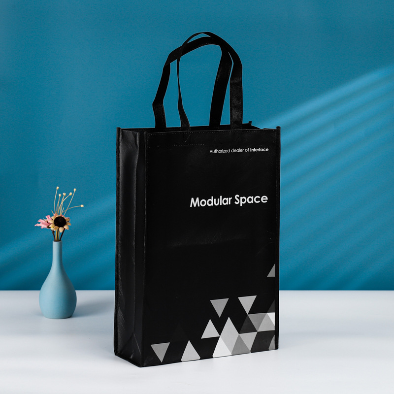 Reusable Non Woven laminated Bag
