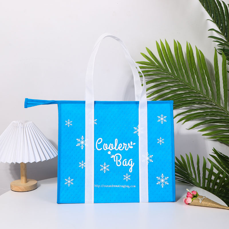 Picnic Non Woven Cooler Lunch Bag