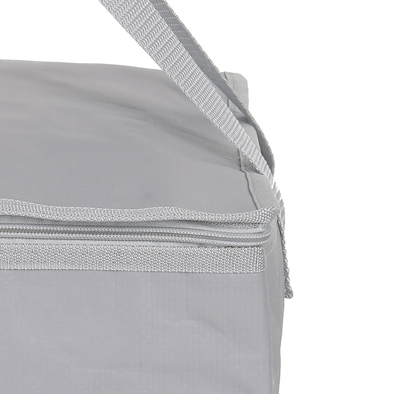 PP Woven Cooler Lunch Bag