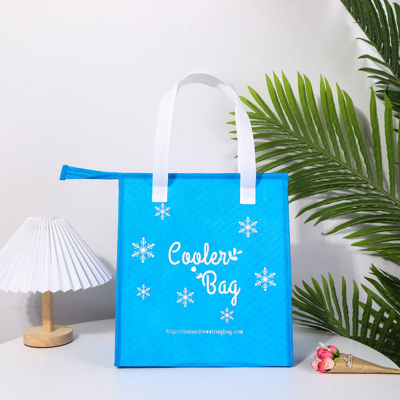 Outdoor Non Woven Cooler Bag