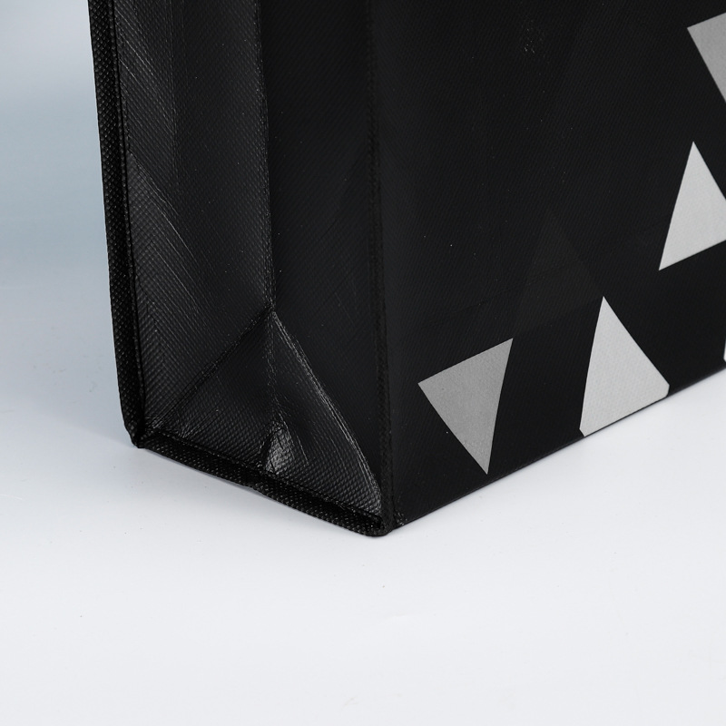 Reusable Non Woven laminated Bag