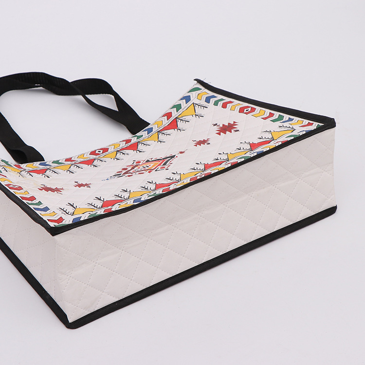 Colour printing Non Woven laminated Bag