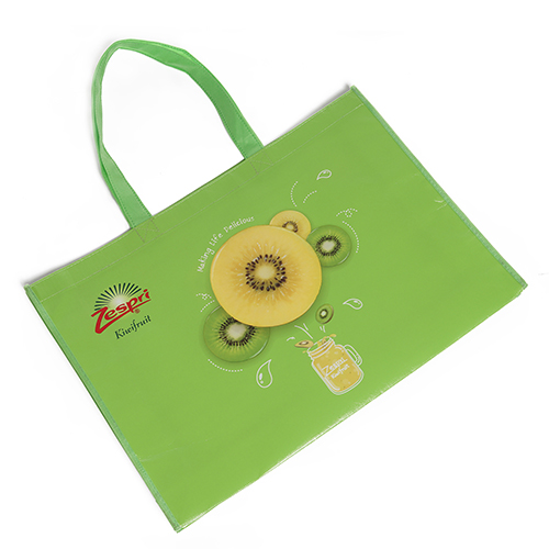 Carrying Non Woven laminated Bag