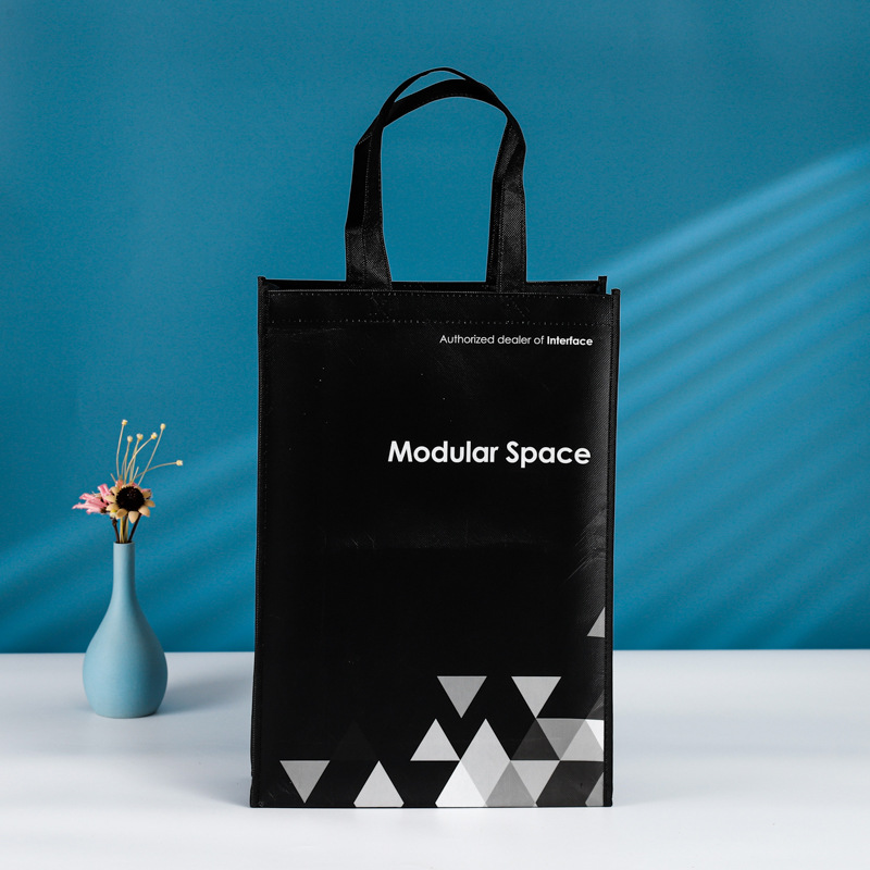 Reusable Non Woven laminated Bag