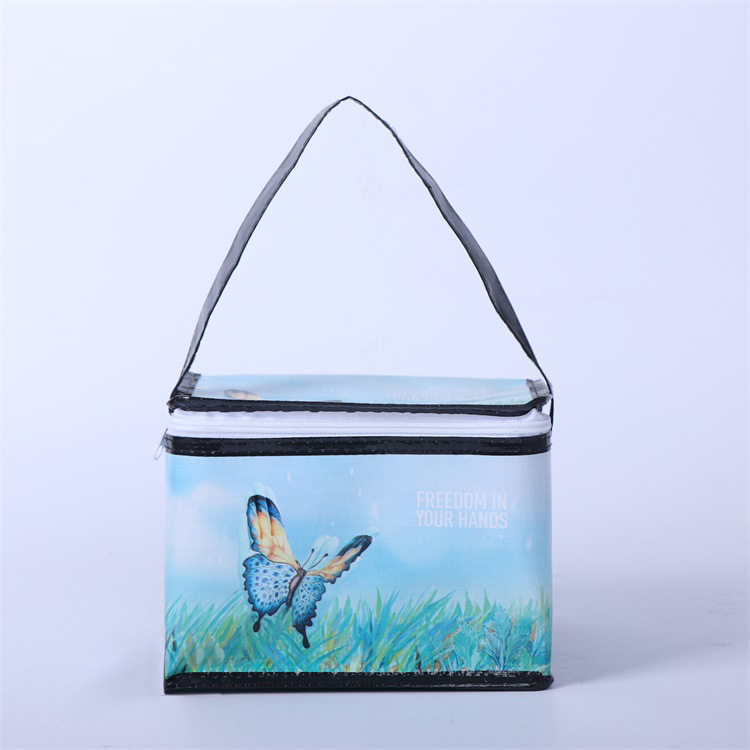 Food delivery Cooler lunch Bag