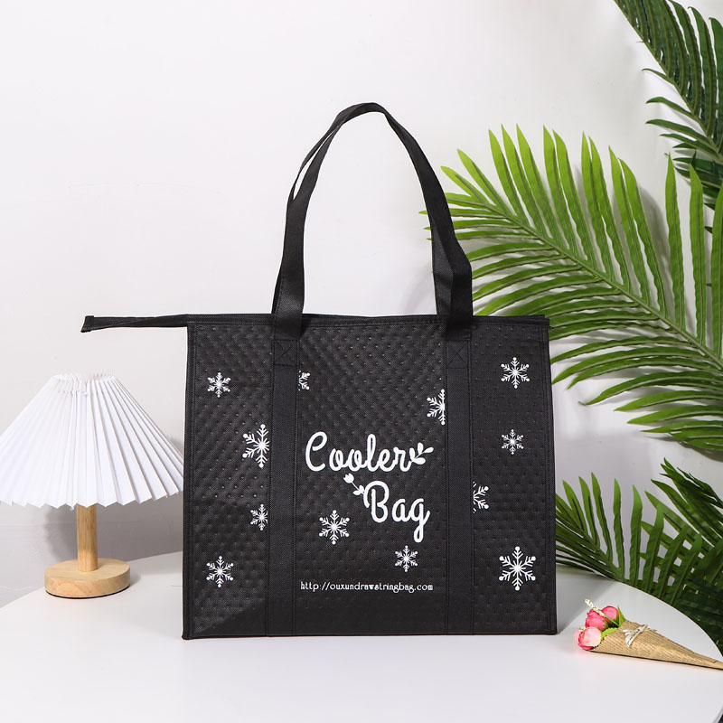 Picnic Non Woven Cooler Lunch Bag