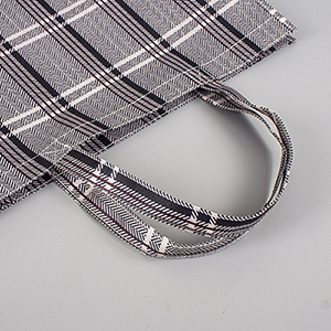 Non Woven laminated Bag