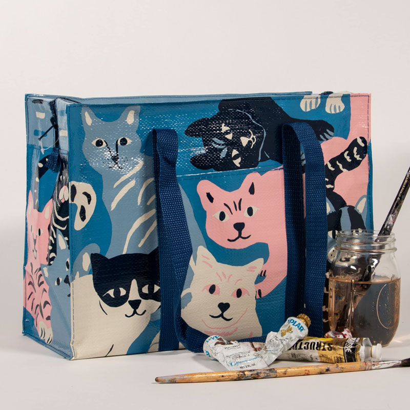 Laminated PP Woven Zipper Bag