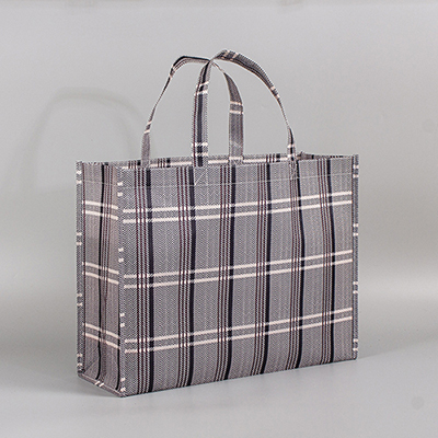 Non Woven laminated Bag