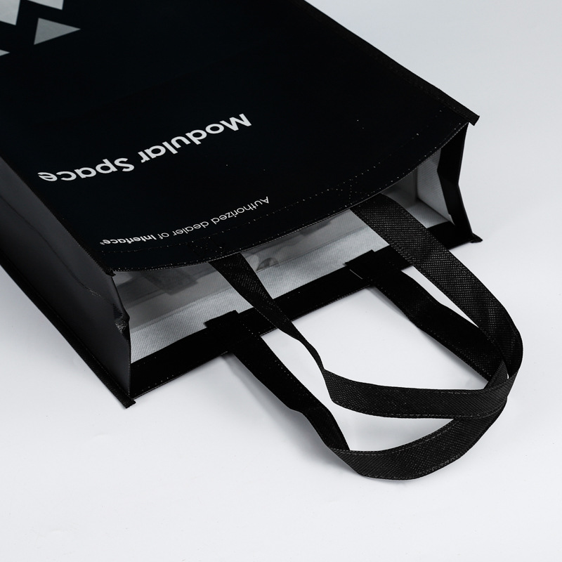 Reusable Non Woven laminated Bag
