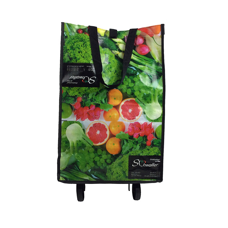 PP Woven Trolley Wheels Bag