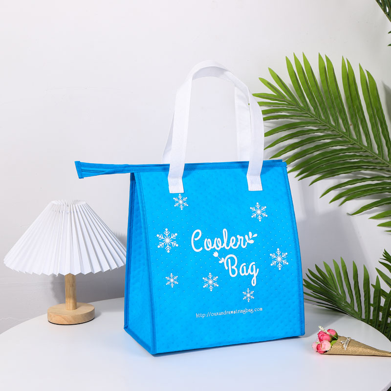 Outdoor Non Woven Cooler Bag