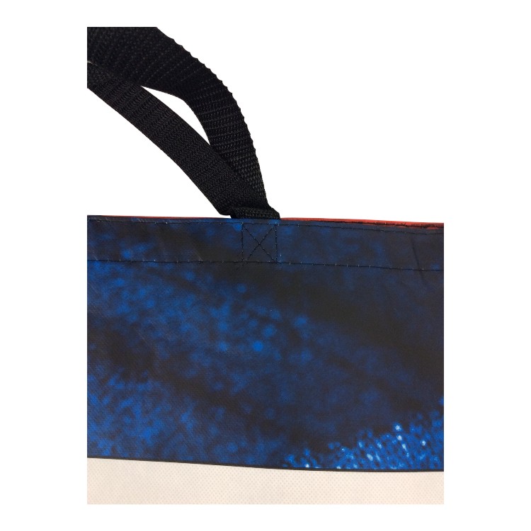 Extra Large Non Woven Laminated Bag