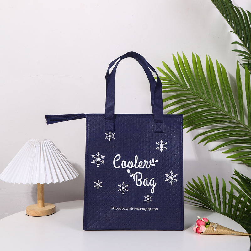 Outdoor Non Woven Cooler Bag