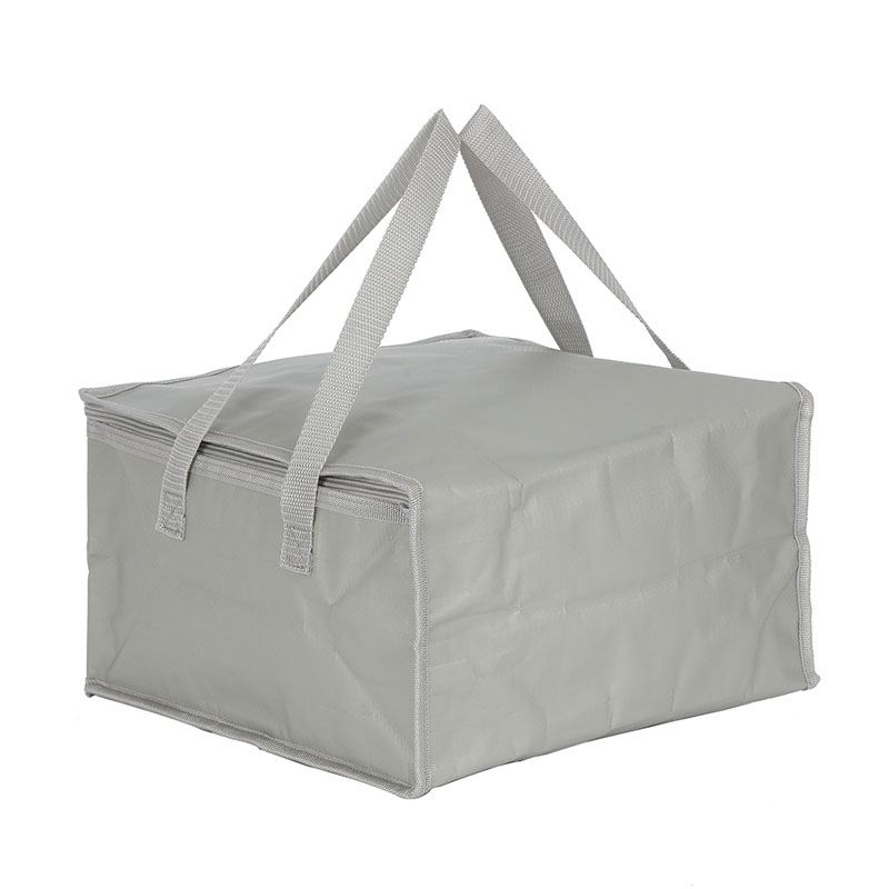 PP Woven Cooler Lunch Bag
