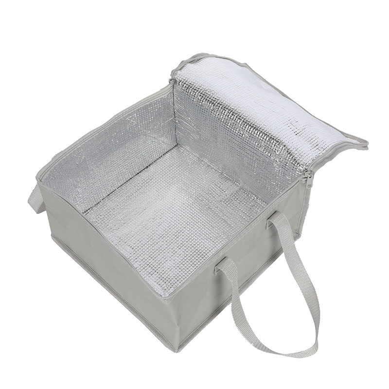 PP Woven Cooler Lunch Bag
