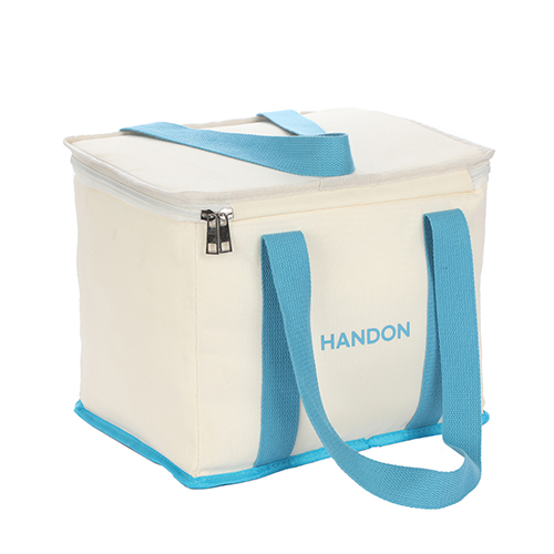 White Lunch Cooler Bag