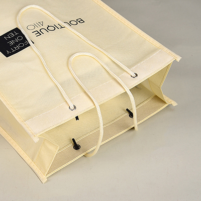 Non Woven Package Bag