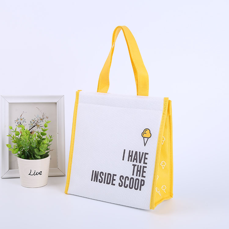 Non Woven Cooler Bag with Velcro