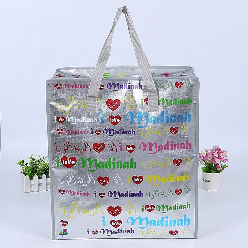 PP Woven Luggage Zipper Bag