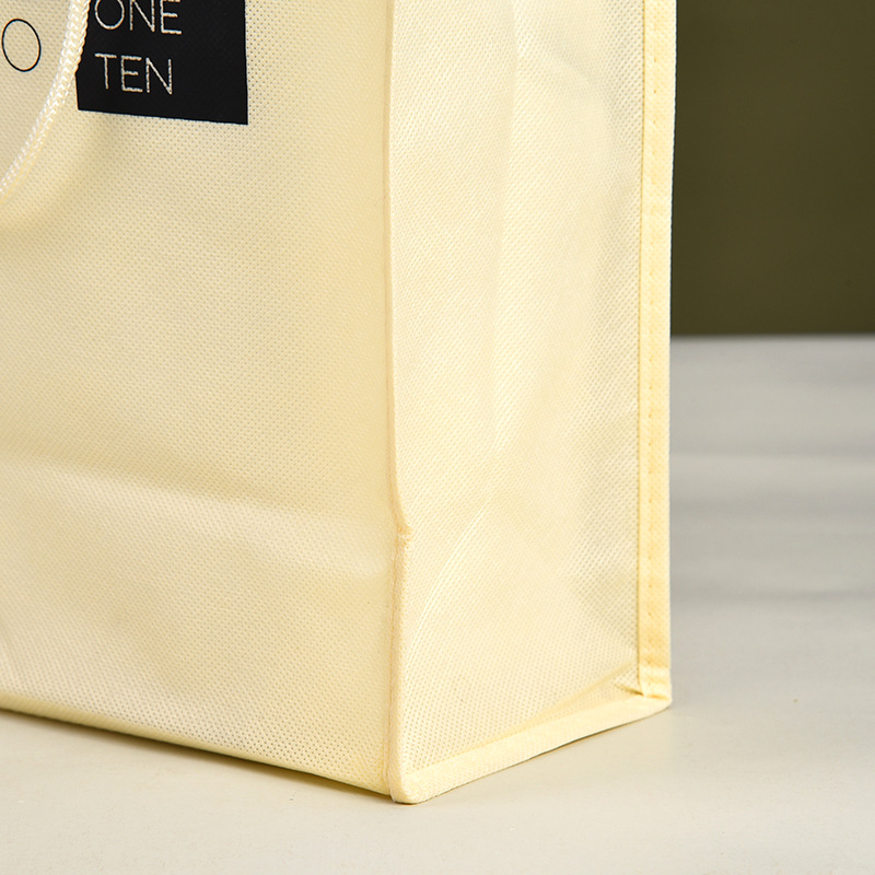 Non Woven Package Bag