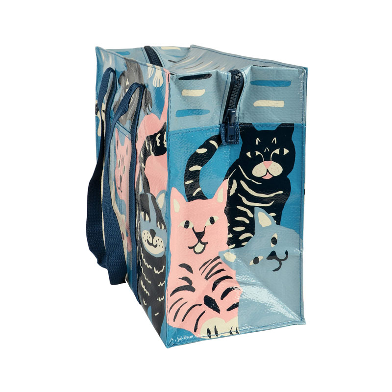 Laminated PP Woven Zipper Bag
