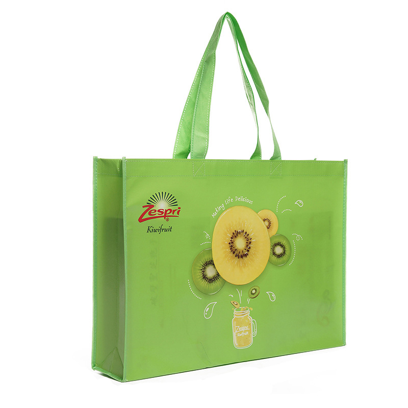 Carrying Non Woven laminated Bag
