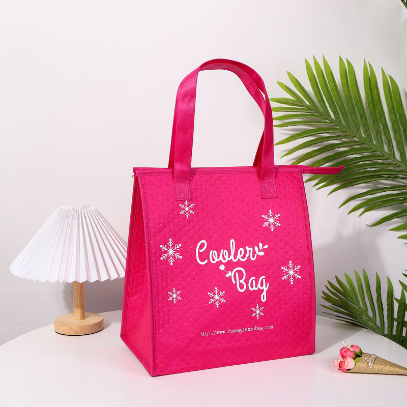 Outdoor Non Woven Cooler Bag