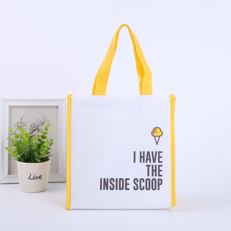 Non Woven Cooler Bag with Velcro