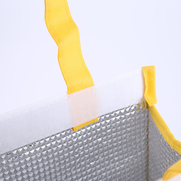 Non Woven Cooler Bag with Velcro