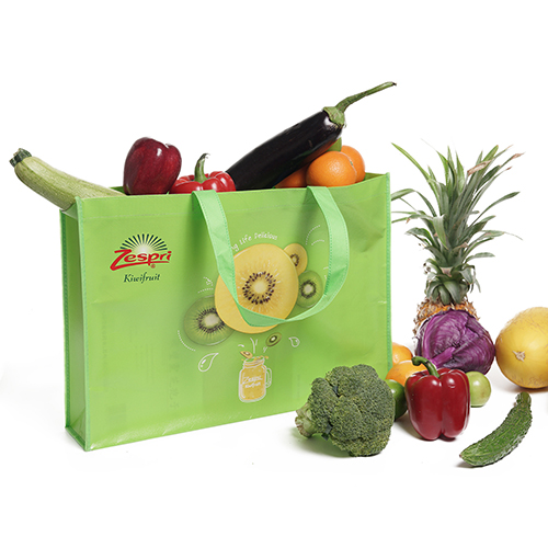 Carrying Non Woven laminated Bag