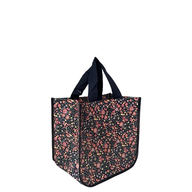 E-co Friendly Bag Style Non Woven Hanbag With Custom Printed