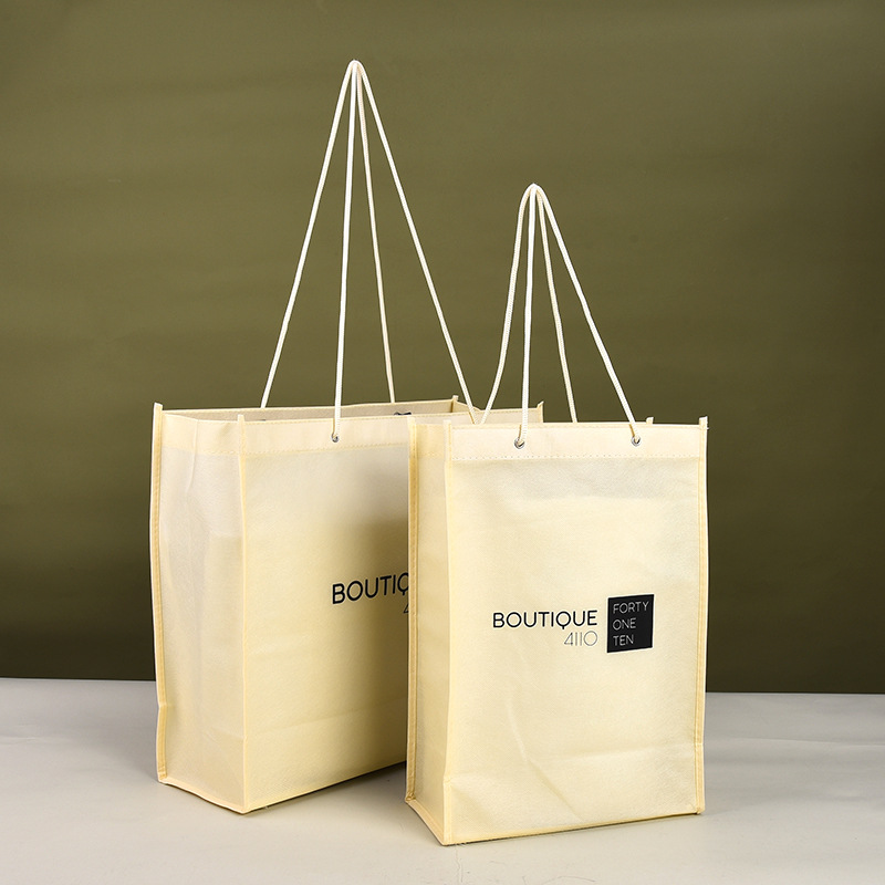 Non Woven Package Bag