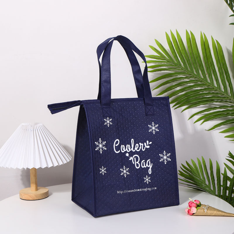 Outdoor Non Woven Cooler Bag