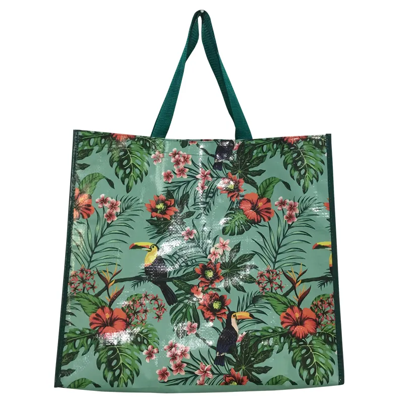 Hot-selling Recycled PP Laminated Woven Shopping Bags for Women, Durable Handbags
