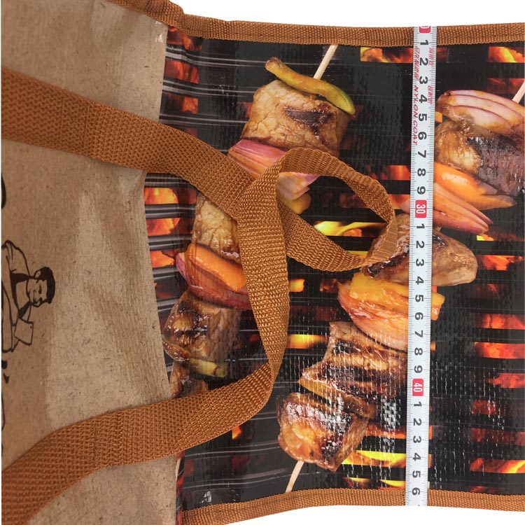 Laminated PP Woven Cooler Bag