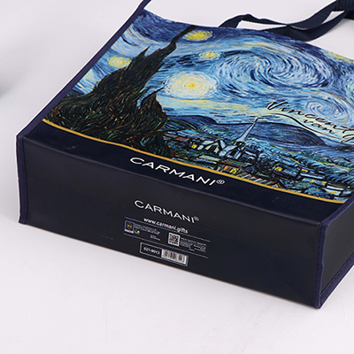 Recycled Non Woven Laminated Shopping Bag