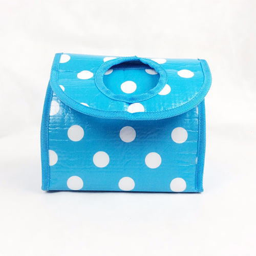 School Cooler lunch Bag