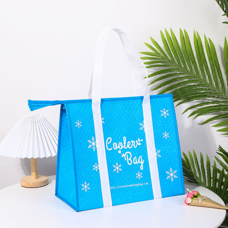 Picnic Non Woven Cooler Lunch Bag