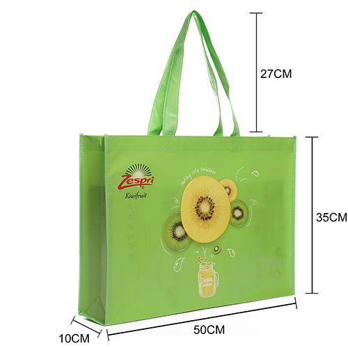 Carrying Non Woven laminated Bag